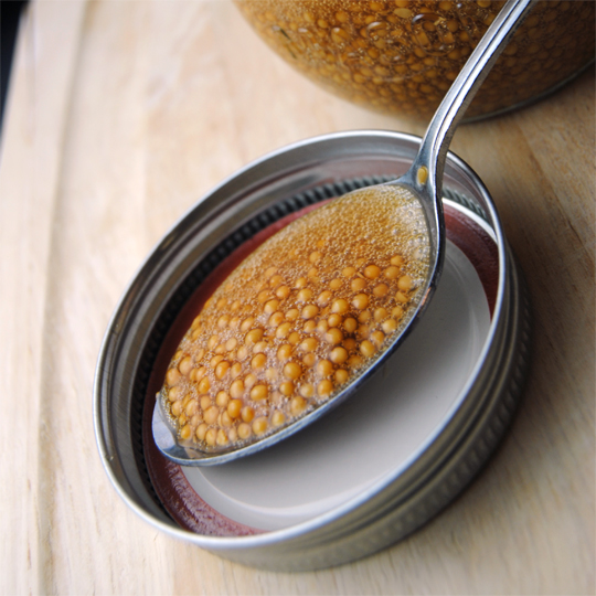 Homemade Whole Grain Mustard with a Weston Manual Kitchen Mixer